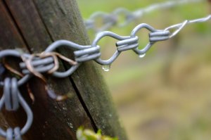 Frühjahrsregentropfen