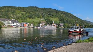 Gänse und Schiffe vor Alf-2