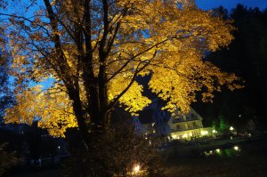 Heller Herbst Bad Bertrich 2