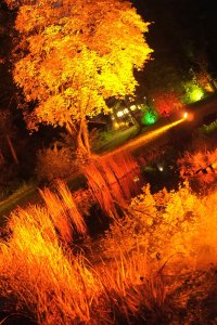 Heller Herbst Bad Bertrich 3