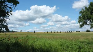 Hunsrück Landschaft