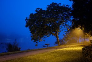 Morgengrauen in Bullay 5