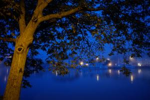 Morgengrauen in Bullay 6