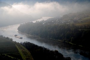 Morgennebel bei Briedel