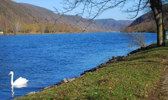 Mosel, so blau