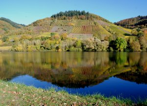 Moselberg gespiegelt