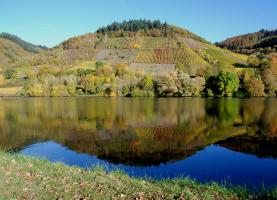 Moselberg gespiegelt