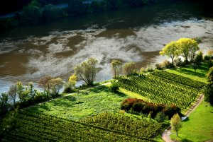 Moselufer bei Zell-Merl
