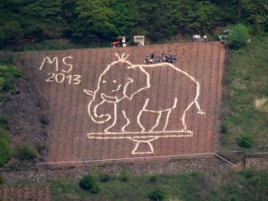 MS Kunstaktion in Mesenich