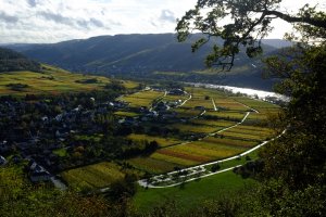 Pünderich im Gegenlicht