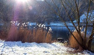 Schnee vor der Bullayer Brücke