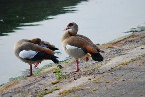 Schön herausgeputzt