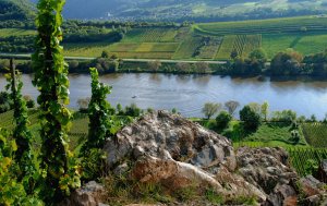 schöne Aussicht bei Zell Merl