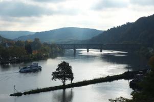 Spätherbst an der Mosel