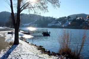 Winter am Moselufer