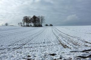 Winter in der Eifel