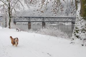 Wintervergnügen