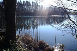 Zauberhaftes Holzmaar