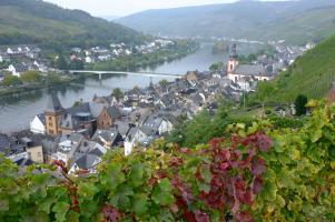 Zell-Mosel