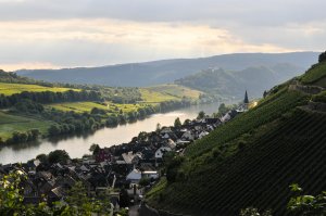 Abendstunde im Moseltal