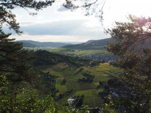 Blick auf Wolf & Kröv