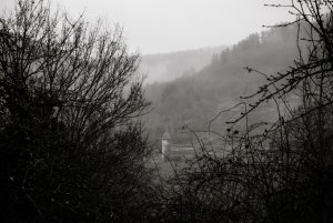 Collis im Winternebel