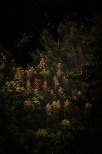 Erstes Licht