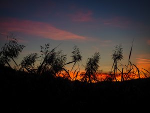 Sonnenuntergang Merl (7)