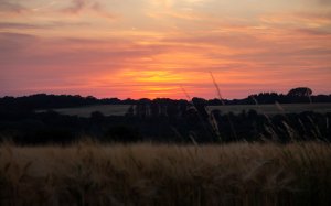 Sonnenuntergang Sonnenwende