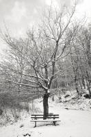 Winterliche Stille