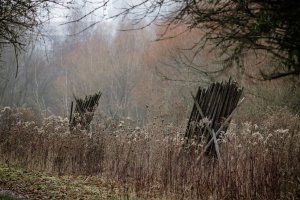 Winterpause