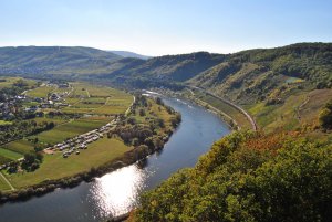 Moselschleife Pünderich 1