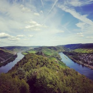 Moselschleife Pünderich 2