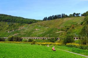 Hangviadukt 1