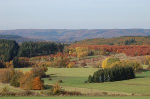 Herbst im Hunsrück