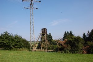 Hochsitz unter Spannung