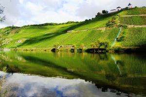 Mosel mit Marienburg