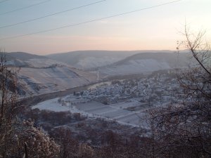 Pünderich im Schnee 2