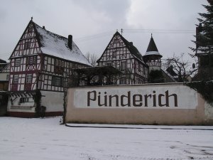 Pünderich im Schnee