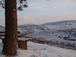 Pünderich im Schnee 3