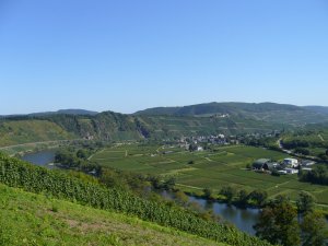 Pünderich mit Hangviadukt