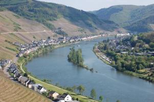 Zell Mosel 2