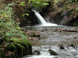 Bach, kl. Wasserfall, Brohlbach