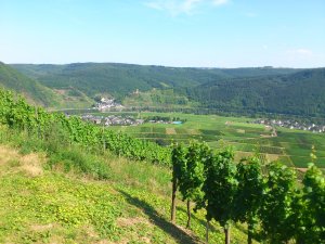 Beilstein, Blick auf
