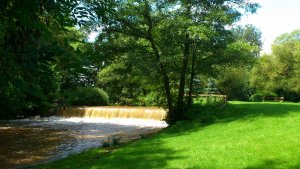 Bengel, Alfbach, Wehr