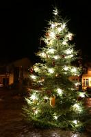 Bullay Lindenplatz Weihnachtsbaum bei Nacht