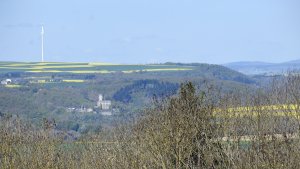 Burg Pyrmont - Ausschnitt