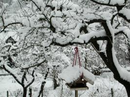 Garten, Vogelhaus, verschneit