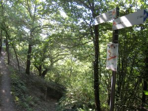 Hatzenport, Wegweiser Laysteig im Wald