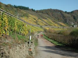 Kanonenbahn, Hangviadukt, Radweg